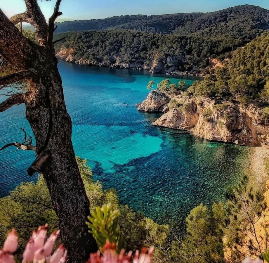 Logement Vue Mer Splendide - Situe A 50 Metres Du Bord De Mer Et 2 Minutes Des Plages - Bandolina Buitenkant foto