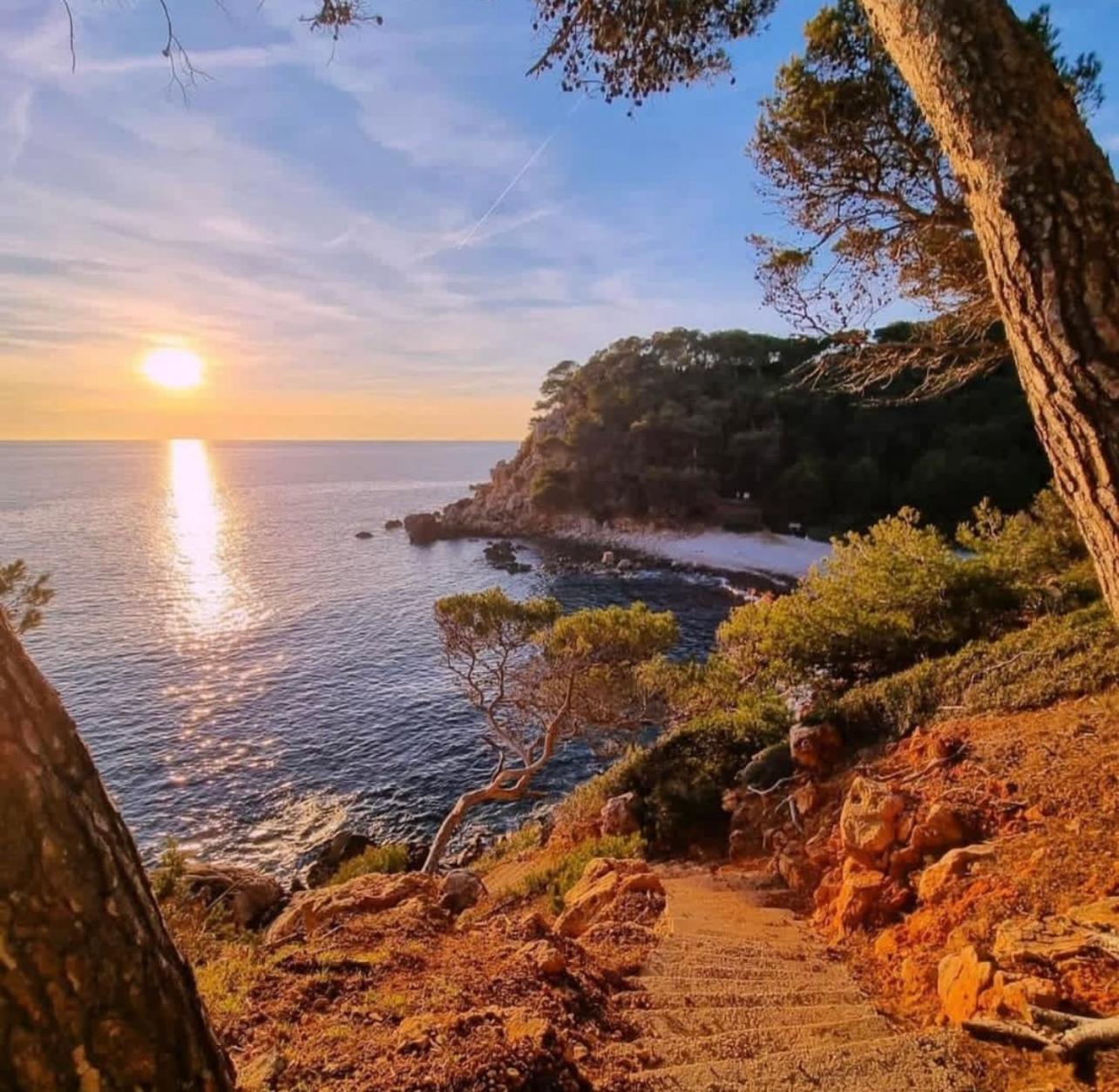 Logement Vue Mer Splendide - Situe A 50 Metres Du Bord De Mer Et 2 Minutes Des Plages - Bandolina Buitenkant foto