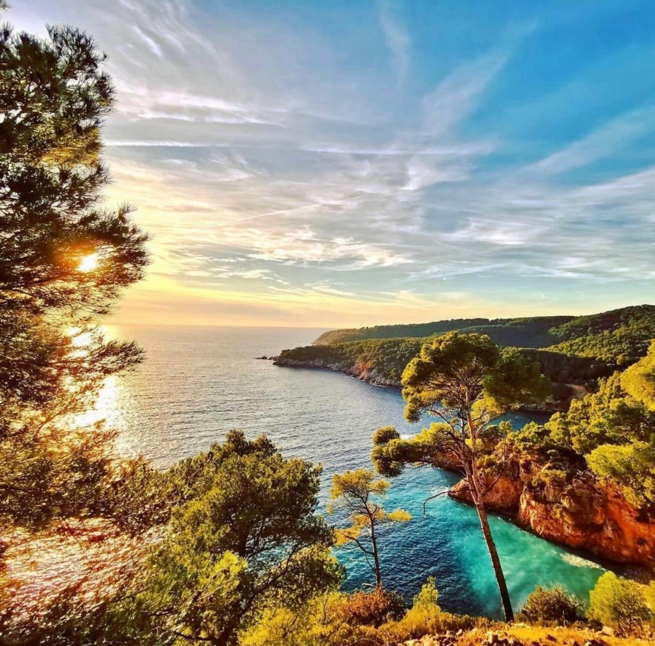 Logement Vue Mer Splendide - Situe A 50 Metres Du Bord De Mer Et 2 Minutes Des Plages - Bandolina Buitenkant foto