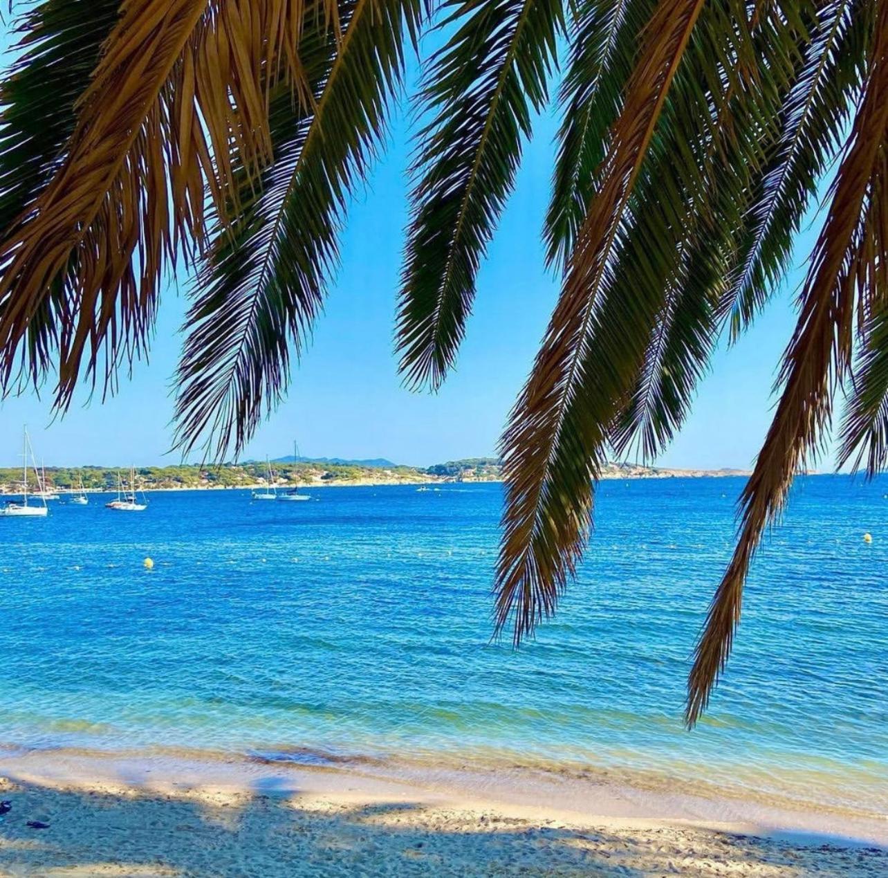 Logement Vue Mer Splendide - Situe A 50 Metres Du Bord De Mer Et 2 Minutes Des Plages - Bandolina Buitenkant foto