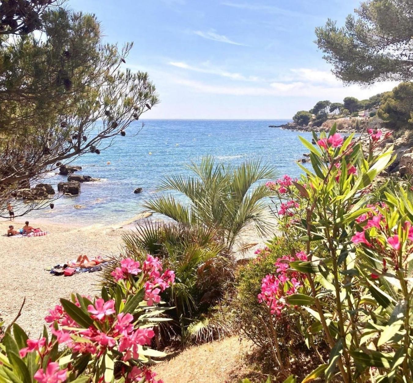 Logement Vue Mer Splendide - Situe A 50 Metres Du Bord De Mer Et 2 Minutes Des Plages - Bandolina Buitenkant foto