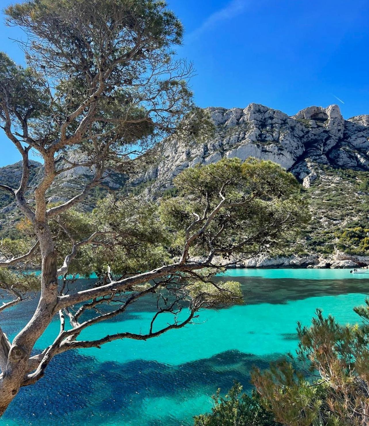 Logement Vue Mer Splendide - Situe A 50 Metres Du Bord De Mer Et 2 Minutes Des Plages - Bandolina Buitenkant foto